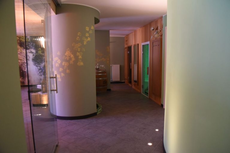 Wellness Hotel Adler 5 DSC 7576
